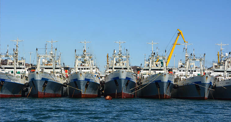 Банк ВТБ поддержит крупное рыбопромышленное предприятие Дальнего Востока