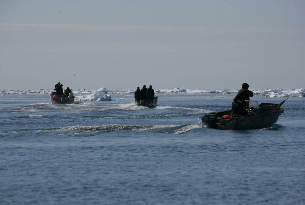 Морские охотники трёх общин получили разрешение на выход в море