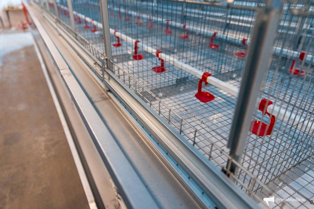 Сроки сдачи птицефабрики в Провидения сдвинутся на неопределенное время