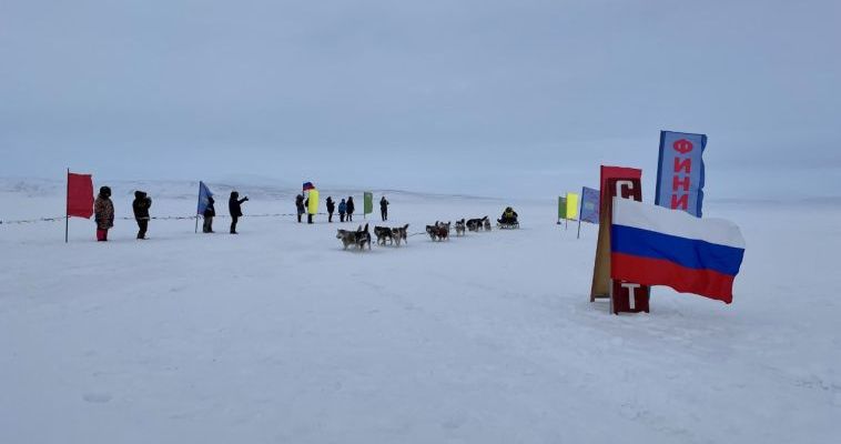 Участники гонки на собачьих упряжках готовятся покинуть Чукотский район