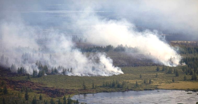 Пожар на оленьих пастбищах локализовали на Чукотке
