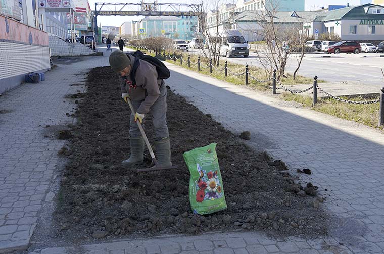 Озеленительные работы начались в столице Чукотки